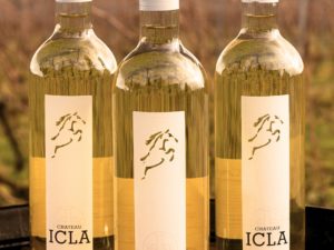 Coffret Bordeaux blanc 2023 - Château Icla