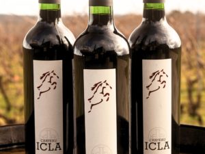 Coffret Bordeaux rouge 2022 - Château Icla