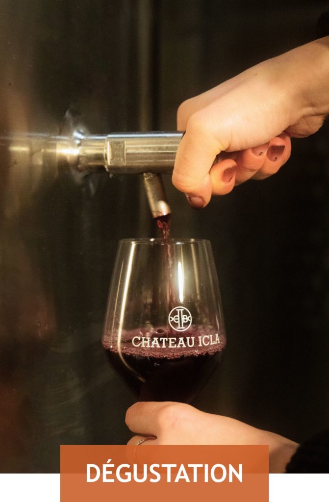 Château Icla - Dégustation