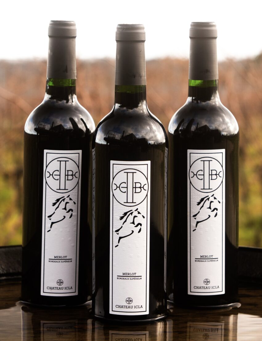 Merlot rouge 2021