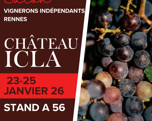 Participation au Salon des Vignerons Indépendants de Rennes !