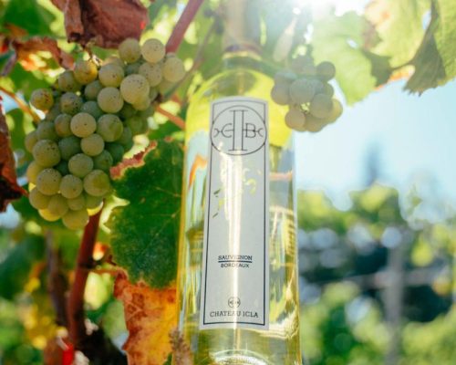 Château ICLA - Sauvignon blanc