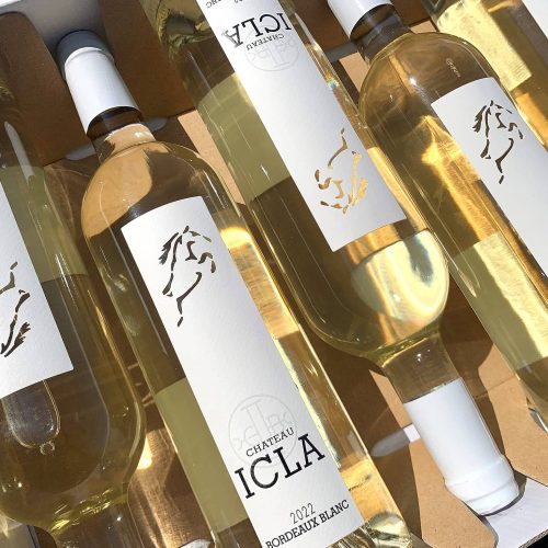 Caisse de 6 bouteilles de Bordeaux Blanc 2022